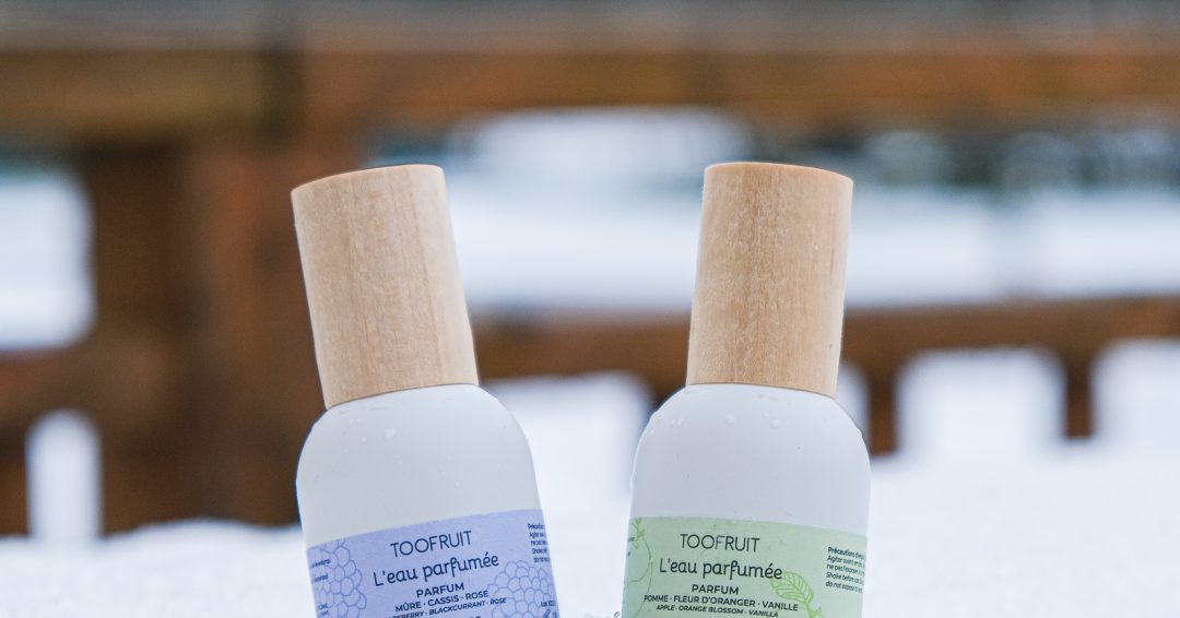 MERCURE PEYRAGUDES DEC-2024-31